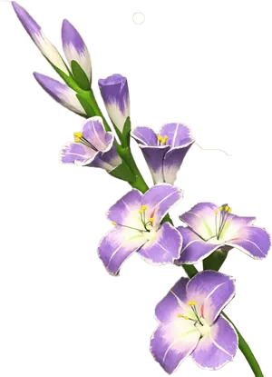 Purple Gladiolus Flowers Transparent Background PNG