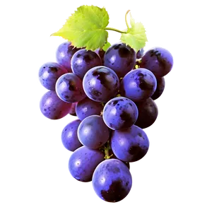 Purple Grape PNG Kcl