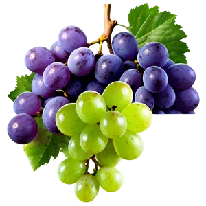 Purple Grape PNG Ynr82