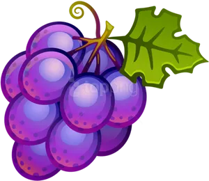 Purple Grapes Cartoon Illustration