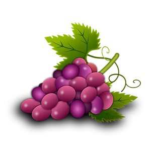 Purple Grapes Cluster Illustration