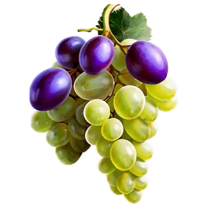 Purple Grapes Png Oai18 PNG image
