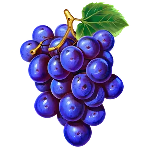 Purple Grapes Png Ouh PNG image