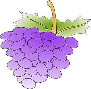 Purple Grapes Vector Illustration