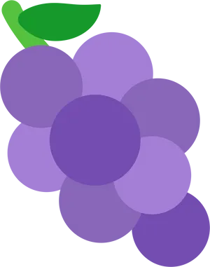 Purple Grapes Vector Illustration