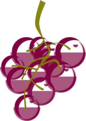 Purple Grapes Vector Illustration PNG image