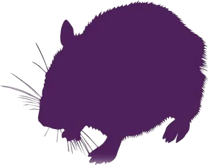 Purple Hamster Silhouette PNG image