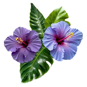 Purple Hibiscus PNG 05242024