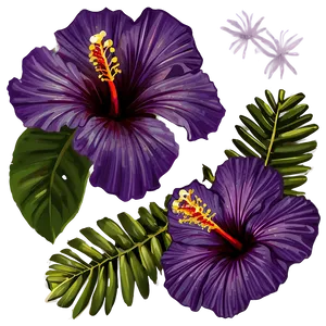 Purple Hibiscus PNG Fvw