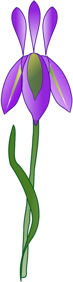 Purple Iris Vector Illustration PNG image