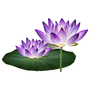 Purple Lotus PNG Qoe58
