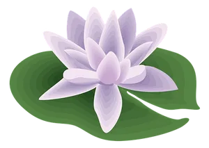 Purple Lotus Vector Illustration