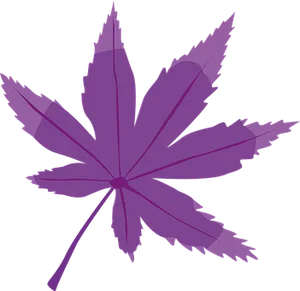 Purple Maple Leaf Graphic