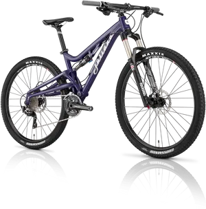 Purple Mountain Bike Reflective Surface