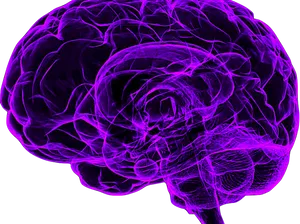 Purple Neural Network Brain Illustration PNG