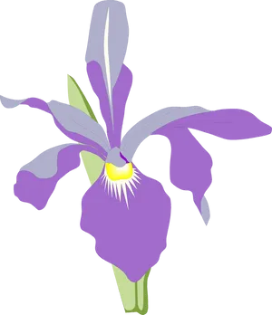 Purple Orchid Illustration PNG image