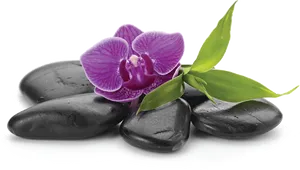 Purple Orchidand Black Spa Stones