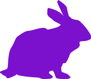 Purple Rabbit Silhouette PNG image