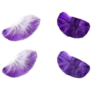 Purple Rose Petals Png Adr78 PNG image