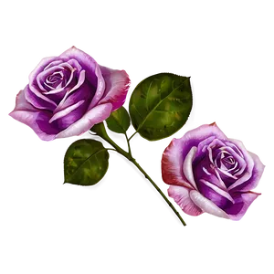 Purple Rose Petals PNG Tqu99 PNG