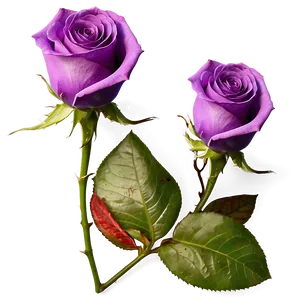 Purple Rose PNG 04292024