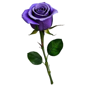 Purple Rose PNG 05062024