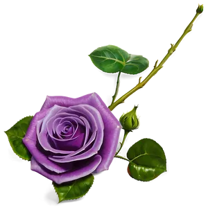 Purple Rose Png 22 PNG image