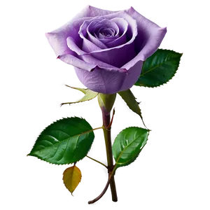 Purple Rose PNG Eqs