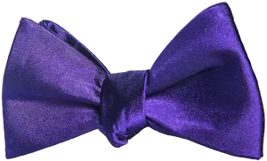 Purple Satin Bow Tie PNG image