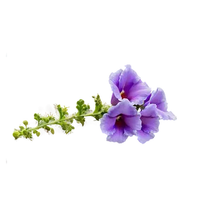 Purple Snapdragon PNG Xnr93