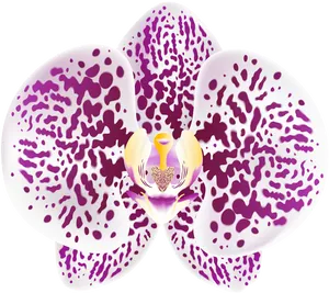 Purple Spotted Orchid Bloom PNG image