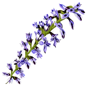 Purple Wildflower PNG 05242024