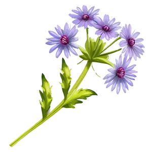 Purple Wildflower PNG Afe35