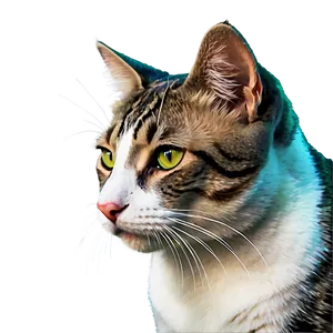 Purrfect Cat Png 48 PNG image