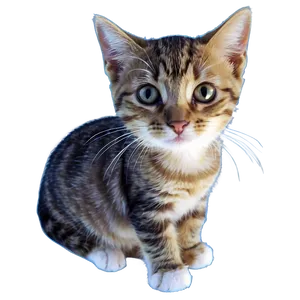 Purring Kitty PNG 23 PNG