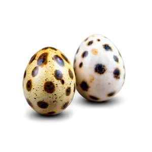 Quail Egg PNG Vbb