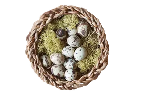Quail Eggsin Wicker Basket