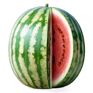 Quarter Watermelon Slice PNG 06132024