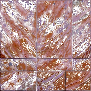 Quartzite Tile Floor PNG 06202024