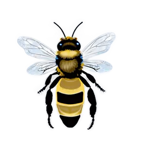 Queen Bee In A Garden Png 06262024 PNG image