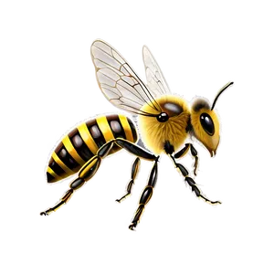 Queen Bee Png Cwl22 PNG image