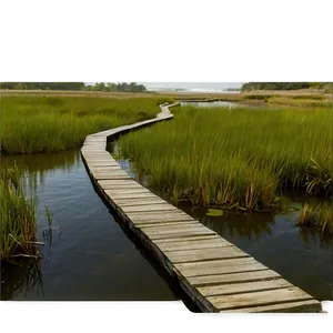 Quiet Marsh Walkway Png Qtq94 PNG image