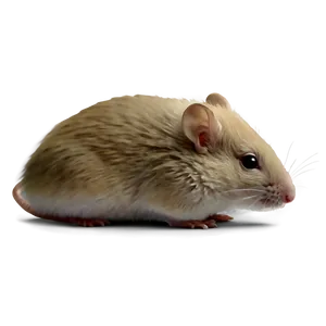 Quiet Mouse PNG 05062024