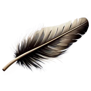 Quill Feather Writing Tool Png Roa5 PNG image