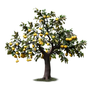 Quince Tree Png 06282024 PNG image