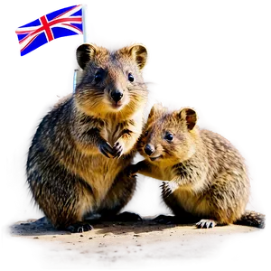 Quokka Family Moment PNG Cgl50 PNG