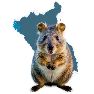 Quokka Island Adventure Png Wtg PNG image