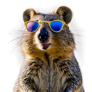 Quokka Selfie Star PNG Emr49 PNG