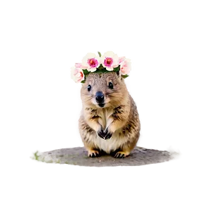 Quokka With Flower Crown PNG 95 PNG