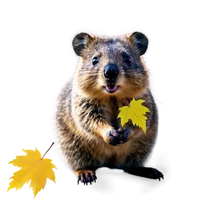 Quokka With Leaves Background Png 40 PNG image